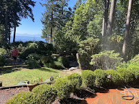 Islas landscaping - Photo 9 - Car repair in Mountlake Terrace, WA, Everett