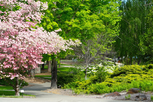 Rogue Community College, 3345 Redwood Hwy, Grants Pass, OR 97527, Community College