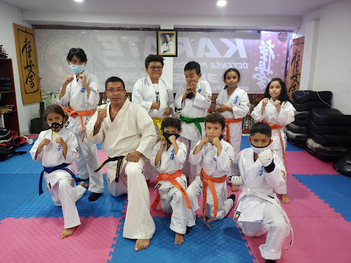 Kyokushin Union Colombia Academia De Artes Marciales