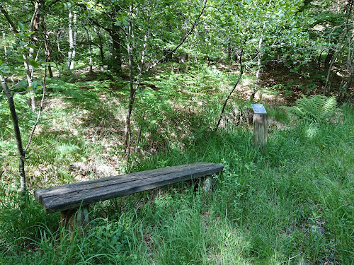 Source La fontaine du Loup à Éclans-Nenon