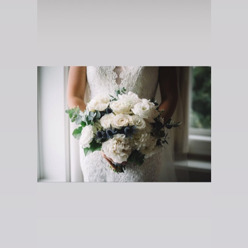 Florist «Fleur De Lis», reviews and photos, 460 Ocean St, South Portland, ME 04106, USA