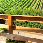 Photo n°2 de l'avis de Alina.. fait le 29/07/2019 à 08:59 sur le  Chamame Gastronomie am Tennis Club Eltville à Eltville