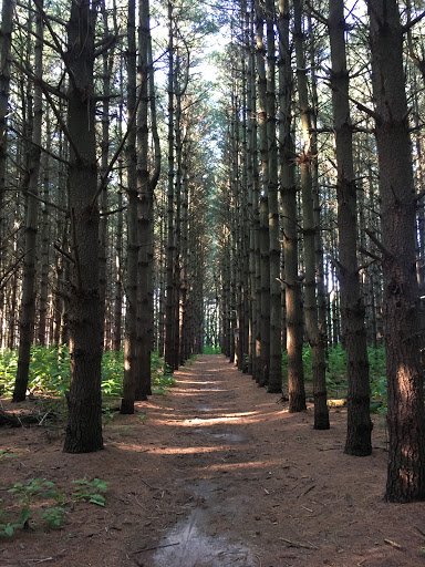 Water Park «Killens Pond Water Park», reviews and photos, 5025 Killens Pond Rd, Felton, DE 19943, USA