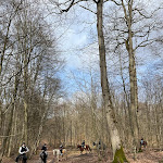 Photo n° 1 de l'avis de Constance.a fait le 13/03/2023 à 08:10 pour La Horse Club à Aumont-en-Halatte