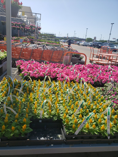 Home Improvement Store «The Home Depot», reviews and photos, 251 S Industrial Blvd, Euless, TX 76040, USA