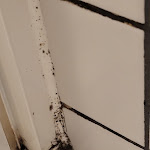 Photo n°3 de l'avis de Sandra.c fait le 05/08/2023 à 12:09 sur le  TRYP by Wyndham Halle à Halle (Saale)