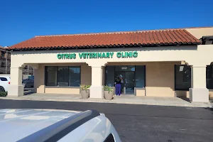 Citrus Veterinary Clinic image