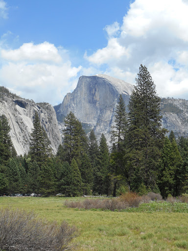 Movie Theater «Cinemark», reviews and photos, 6233 Garfield Ave, Sacramento, CA 95841, USA
