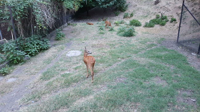 Център, ул. Никола Вапцаров 11, 4180 Хисаря