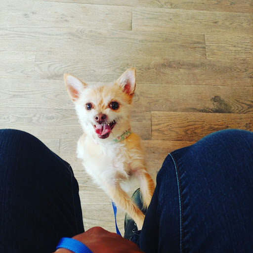 Winery «Barrel Oak Winery», reviews and photos, 3623 Grove Ln, Delaplane, VA 20144, USA