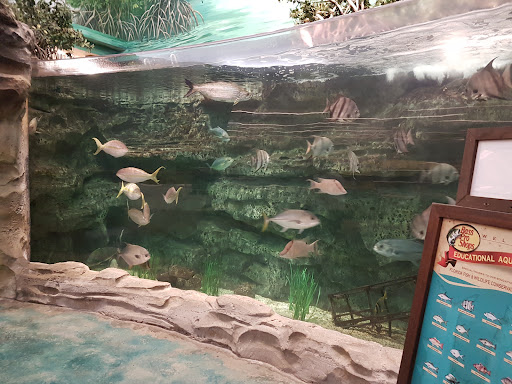 Sporting Goods Store «Bass Pro Shops», reviews and photos, 2250 SW Gatlin Blvd, Port St Lucie, FL 34953, USA