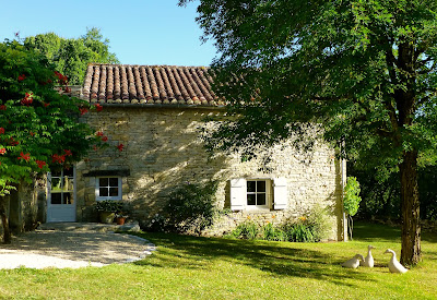 La Vigne Vierge Gite de Charme à Montgesty