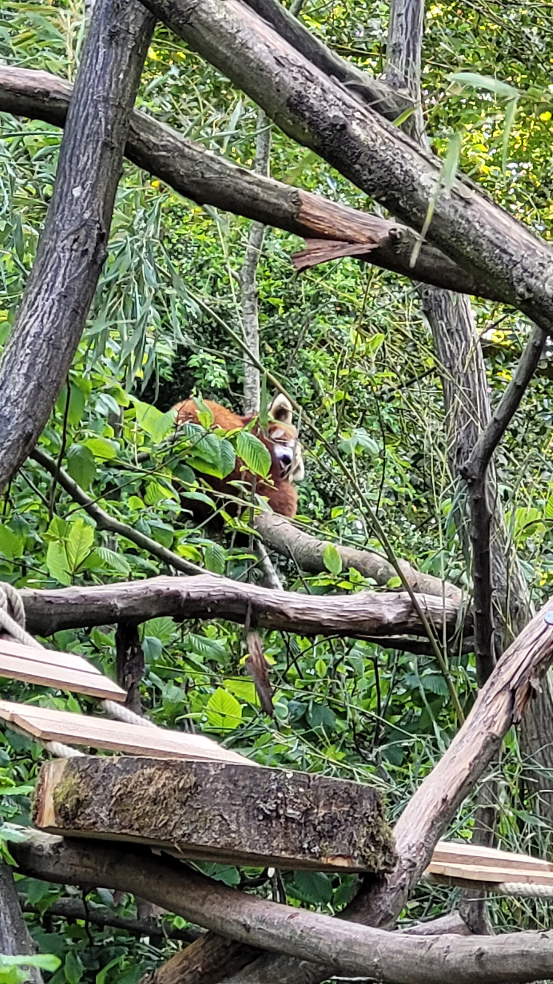 Photo n° 3 de l'avis de Caro. fait le 19/05/2023 à 15:44