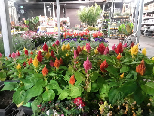 Home Improvement Store «The Home Depot», reviews and photos, 350 N Orchard Ave, Ukiah, CA 95482, USA