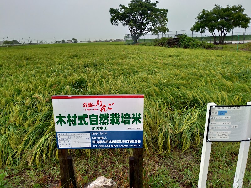 岡山県立興陽高等学校