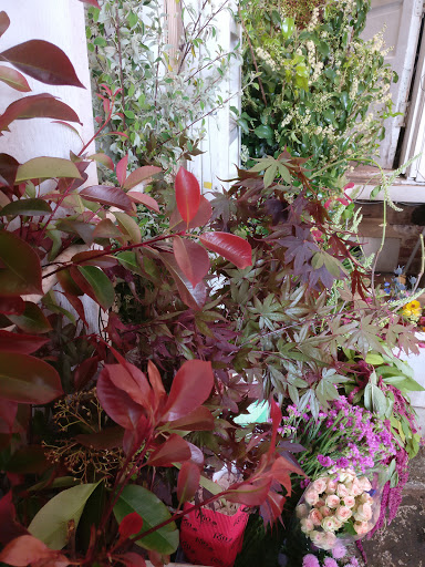 Florist «Ampersand», reviews and photos, 80 Albion St, San Francisco, CA 94103, USA