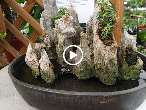 Garden Center «Merrifield Garden Center», reviews and photos, 12101 Lee Hwy, Fairfax, VA 22030, USA