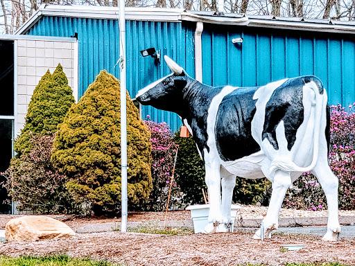 Butcher Shop «Bogner Quality Meats», reviews and photos, 1084 Hartford Turnpike, Vernon, CT 06066, USA