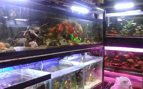 King Fish Aquarium image