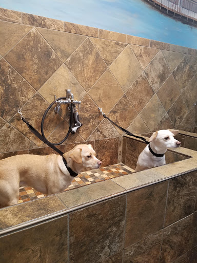 Pet Store «Pet Valu», reviews and photos, 1422 North Point Village Center, Reston, VA 20194, USA