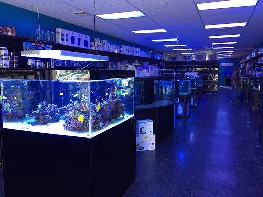 Tropical Fish Store «Reef Oasis», reviews and photos, 7669 Mentor Ave, Mentor, OH 44060, USA