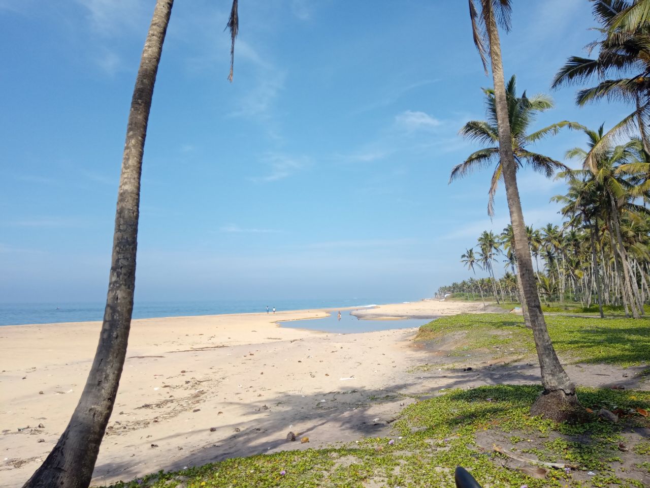 Photo of Paraikal Beach wild area