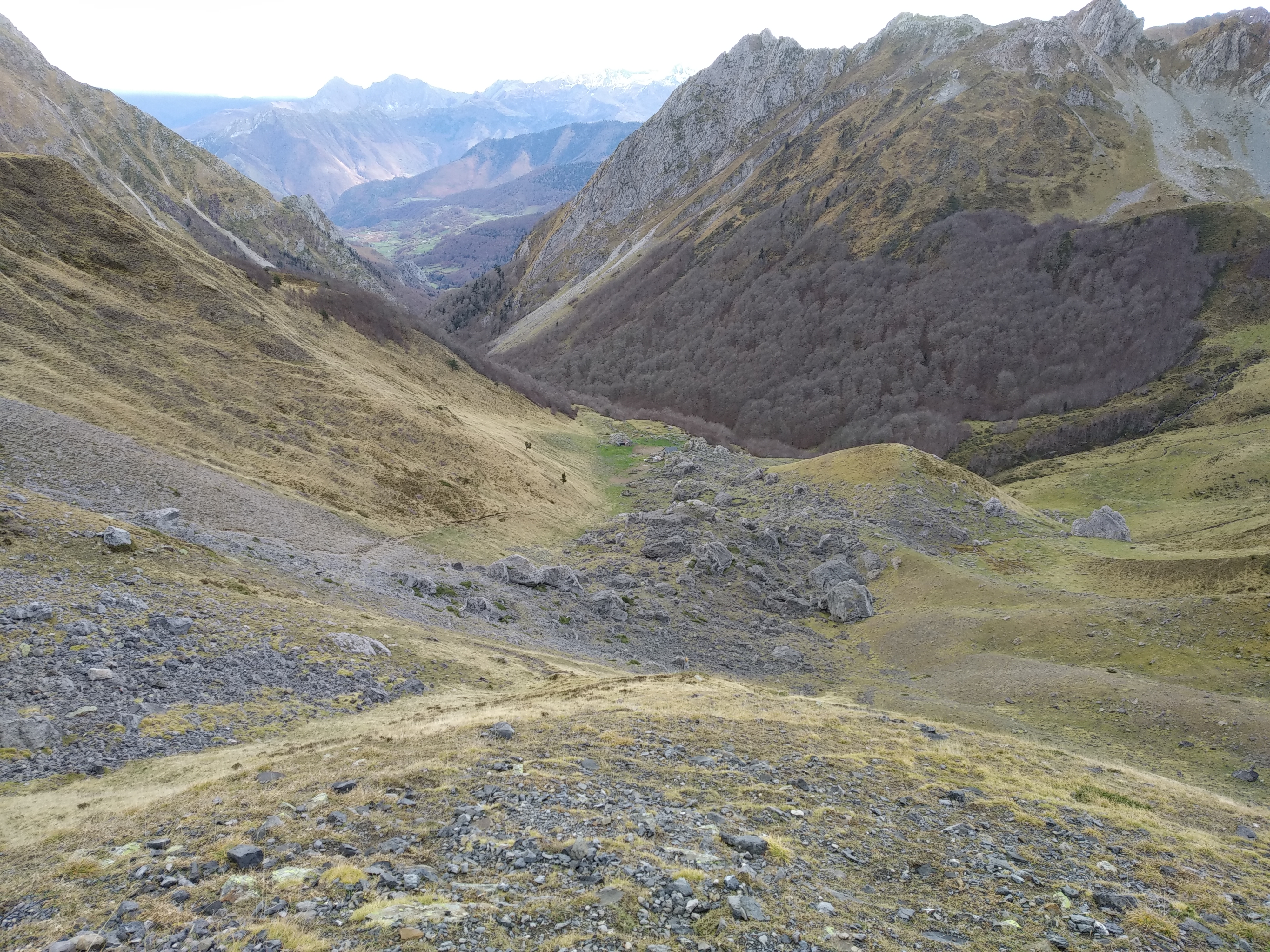 Photo n° 2 de l'avis de Fran. fait le 22/11/2018 à 10:44