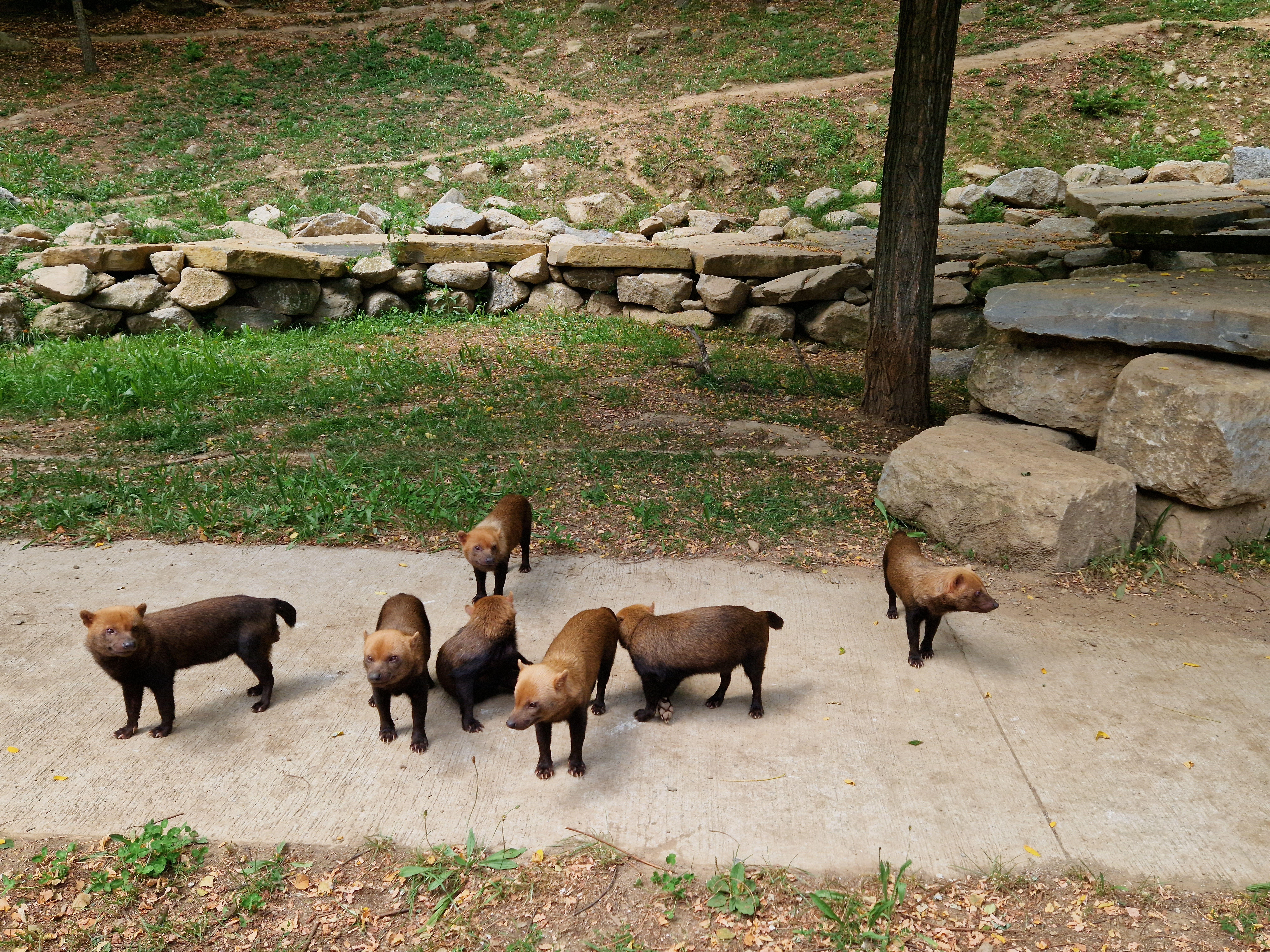 Photo n° 7 de l'avis de Aline.u fait le 27/08/2023 à 11:28