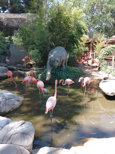 Zoo «Central Coast Zoo Society», reviews and photos, 9305 Pismo Ave, Atascadero, CA 93422, USA
