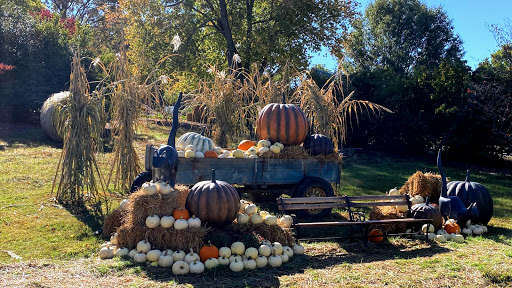 Zoo «Mesker Park Zoo», reviews and photos, 1545 Mesker Park Dr, Evansville, IN 47720, USA