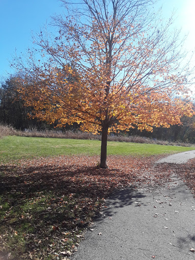 Amusement Park «Meadowmere Park», reviews and photos, 13610 Byars Rd, Grandview, MO 64030, USA