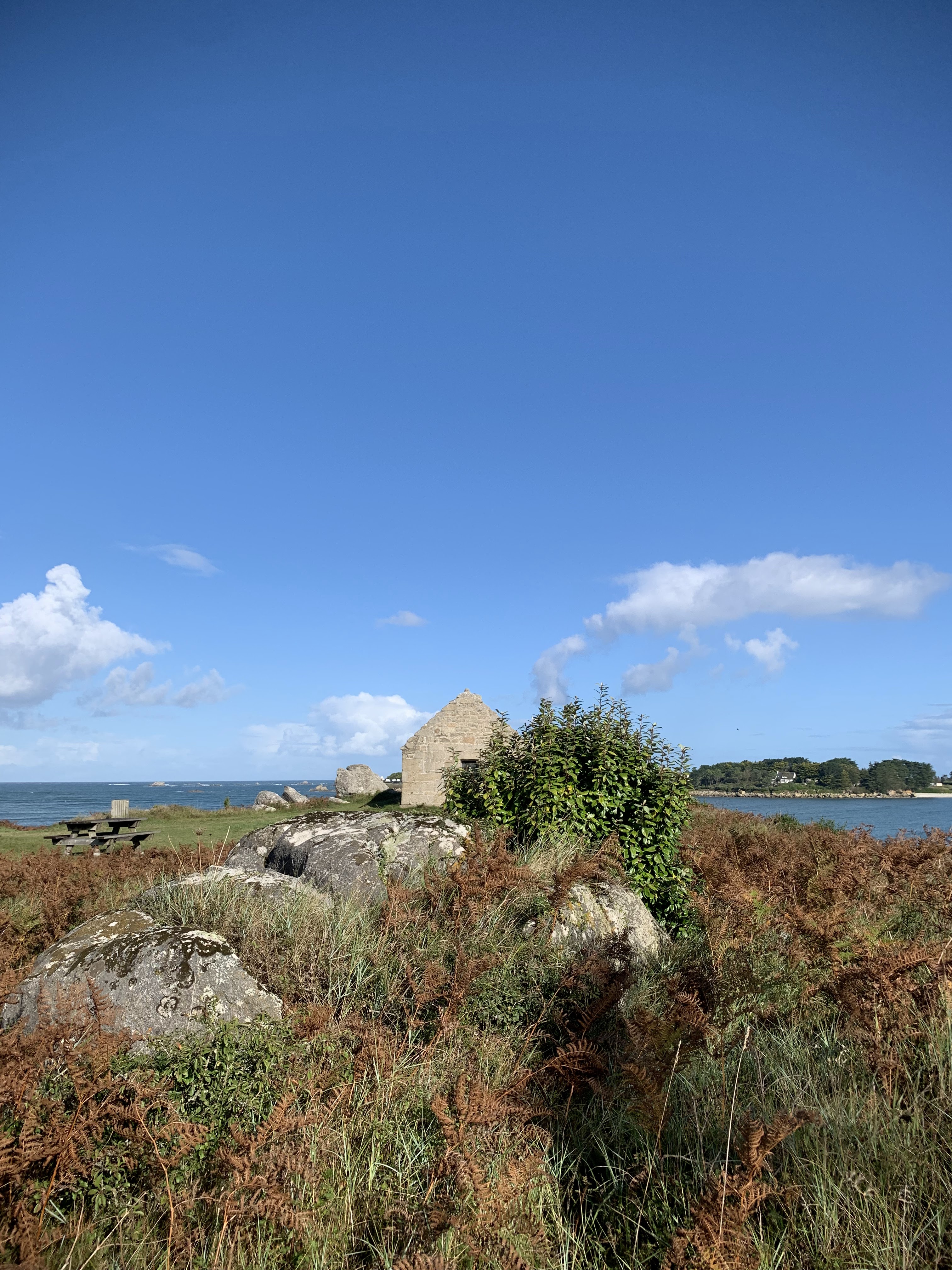 Photo n° 11 de l'avis de SR. fait le 22/09/2023 à 13:46