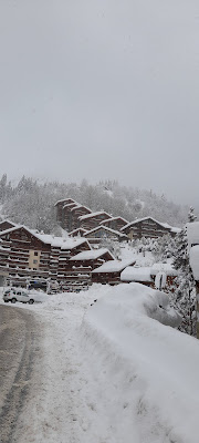 Les Gentianes Bleues - Les Chalets De Marie à Champagny-en-Vanoise