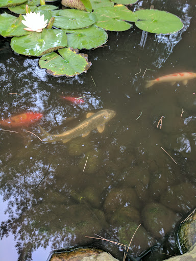 State Park «Breakheart Reservation», reviews and photos, 177 Forest St, Saugus, MA 01906, USA