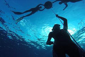 Composure Freediving image