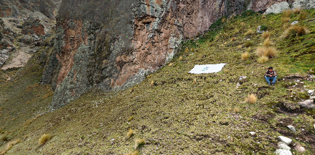 Arco del amor Pueblo Libre Hvca - Huancavelica