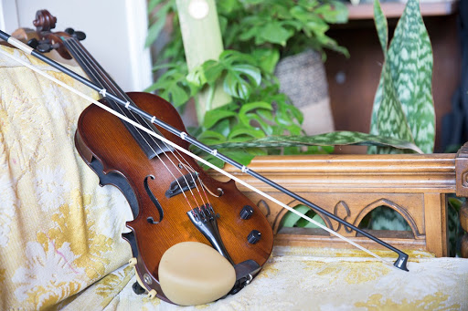Alisar Violin