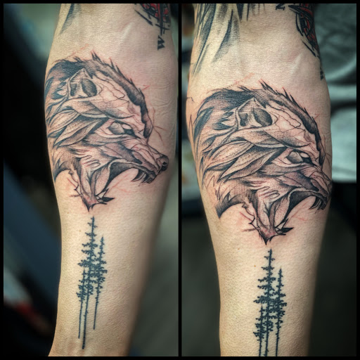 Explore tattoo ideas phoenix, creative tattoo ideas in Westland, available at Black Raven Studio, LLC