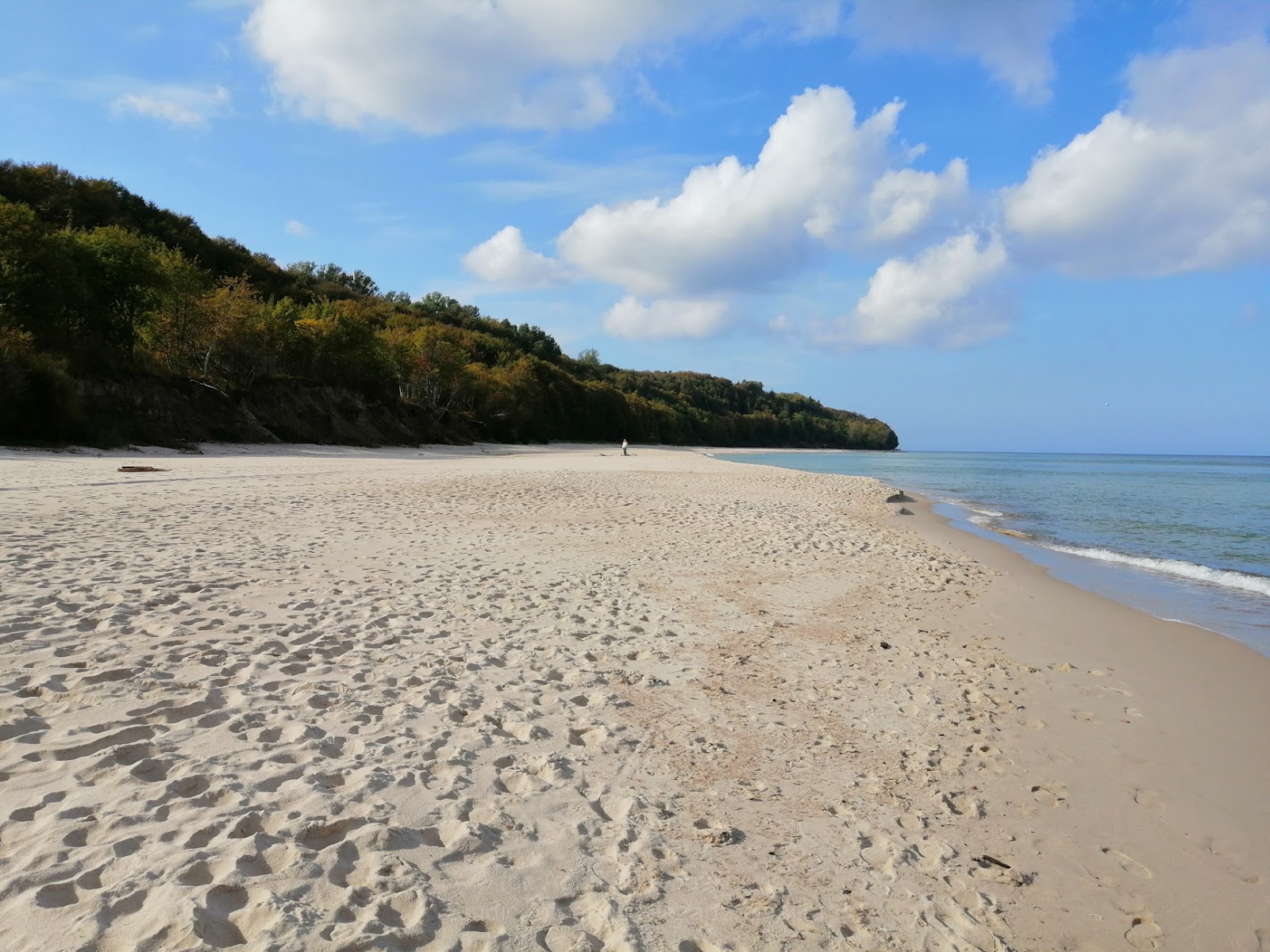 Photo de Rozewie Beach avec sable fin et lumineux de surface