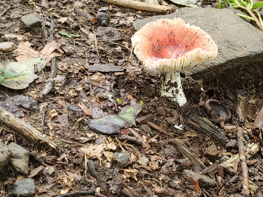 Nature Preserve «White Clay Creek State Park Nature Center», reviews and photos, 1475 Creek Rd, Newark, DE 19711, USA