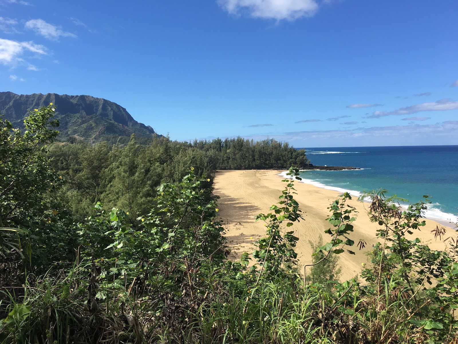 Photo of Lumaha'i Beach - popular place among relax connoisseurs