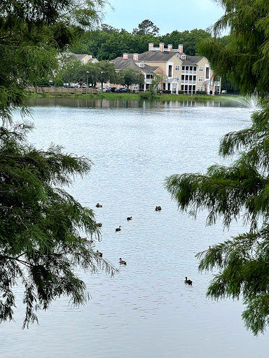 Supermarket «Publix Super Market at Deerwood Lake Commons», reviews and photos, 4320 Deerwood Lake Pkwy, Jacksonville, FL 32216, USA