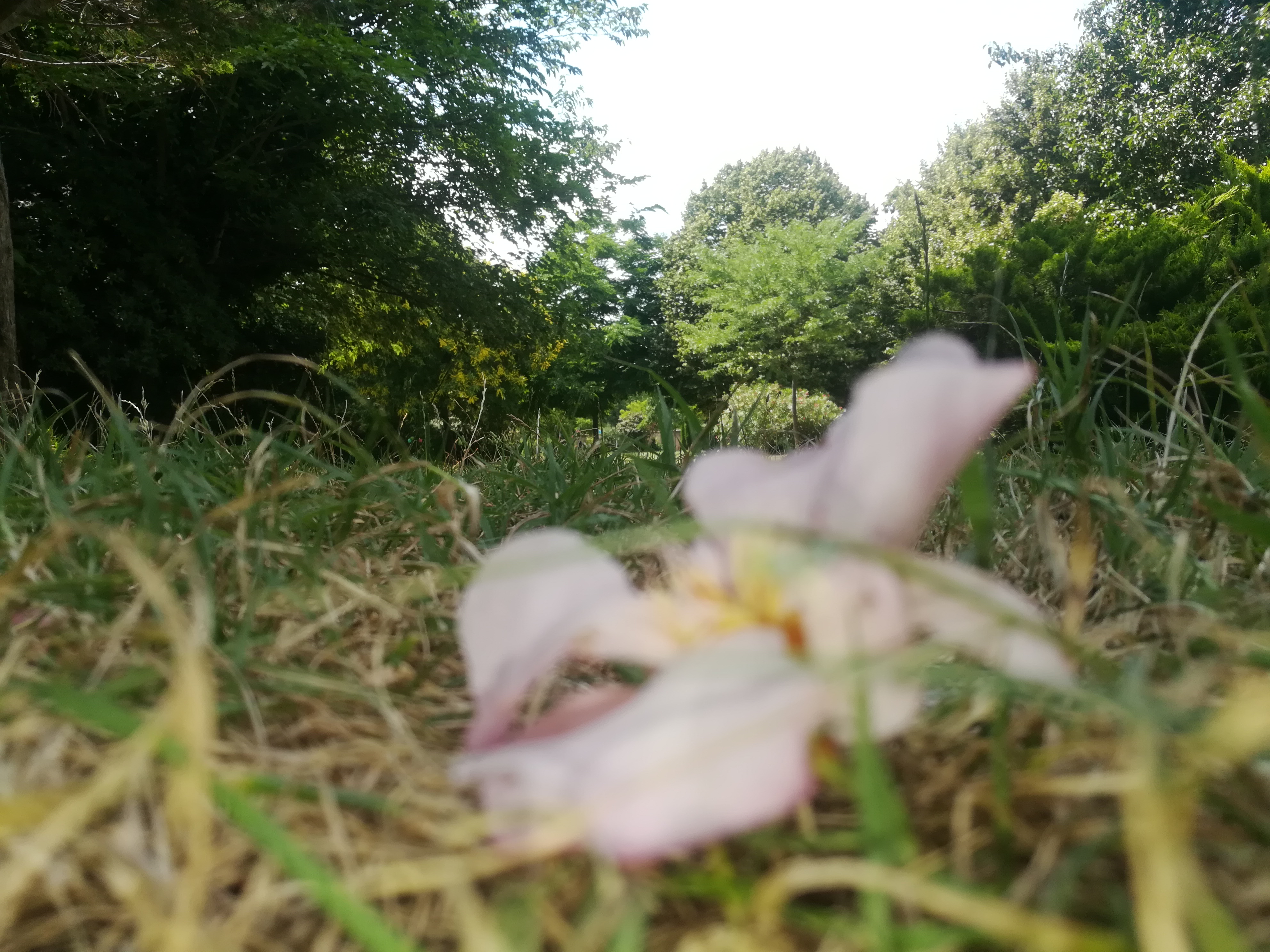 Photo n° 1 de l'avis de hadslide. fait le 29/06/2018 à 12:45