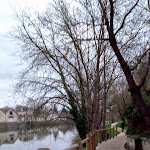 Photo n° 8 de l'avis de Sylvie.e fait le 04/02/2023 à 21:59 pour Aire de Loisirs du Bain des Dames à Châteauneuf-sur-Charente
