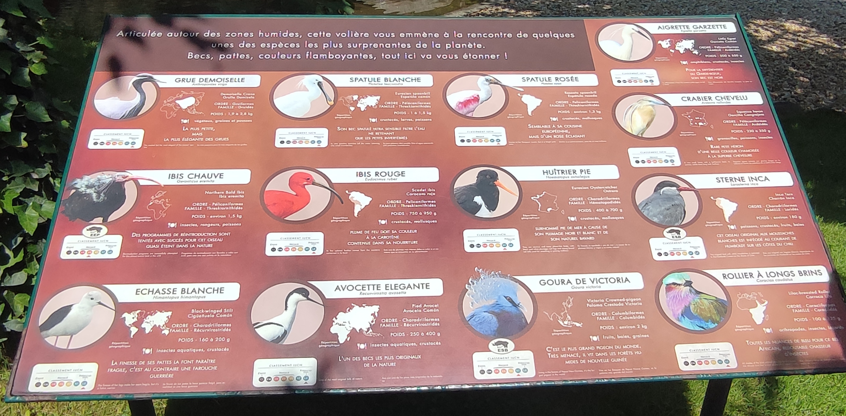 Photo n° 22 de l'avis de Julien.a fait le 02/06/2023 à 04:00