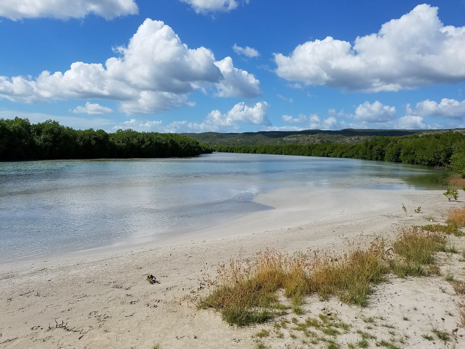 Playa Ballena'in fotoğrafı düz bir kıyı şeridi ile birlikte