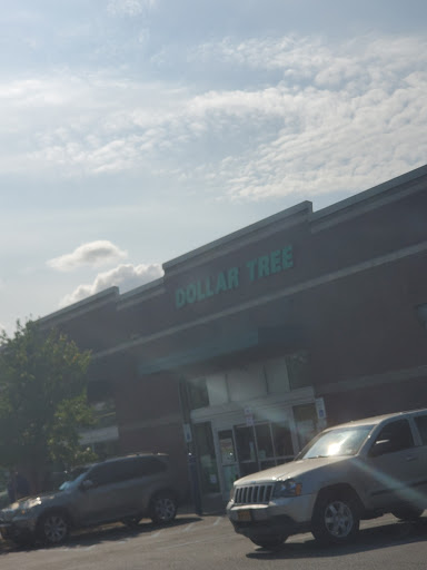 Dollar Store «Dollar Tree», reviews and photos, 806 Pelham Pkwy #4, Pelham, NY 10803, USA