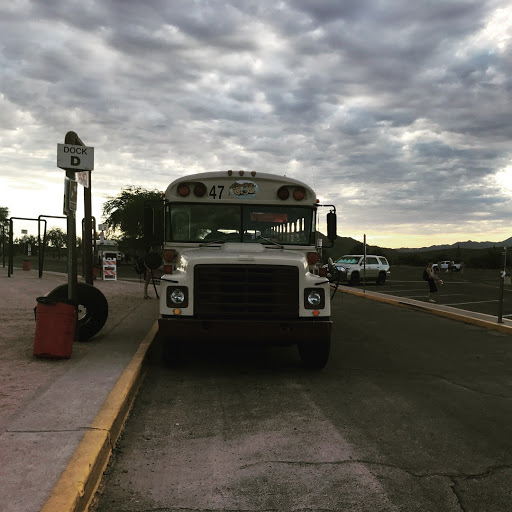 Tourist Attraction «Salt River Tubing», reviews and photos, 9200 N Bush Hwy, Mesa, AZ 85215, USA