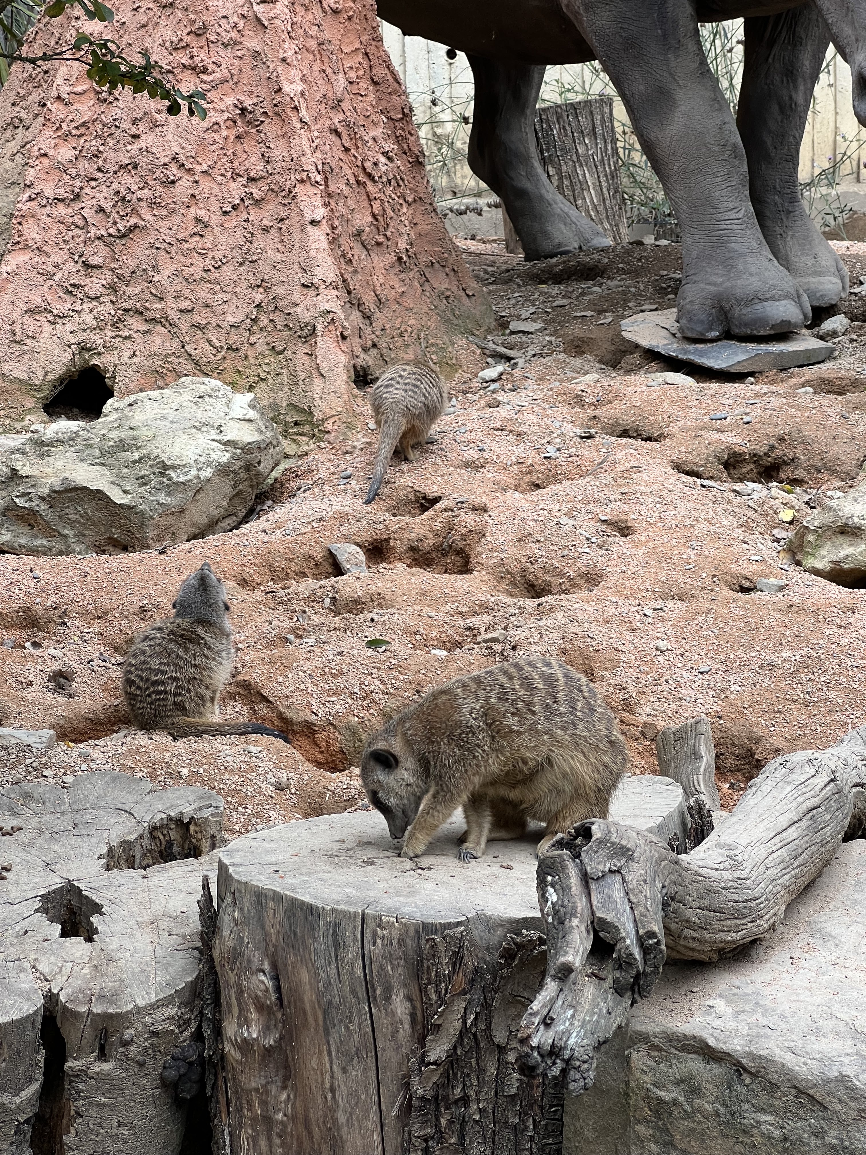 Photo n° 1 de l'avis de Floriane.a fait le 21/11/2023 à 13:00