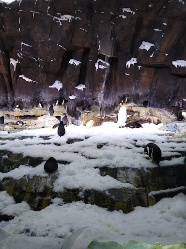 Discount Store «Walmart», reviews and photos, 795 Texas Ave, Bridge City, TX 77611, USA